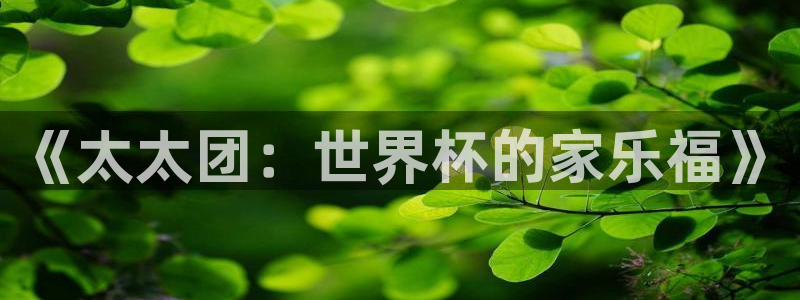 世界杯球队：《太太团：世界杯的家乐福》