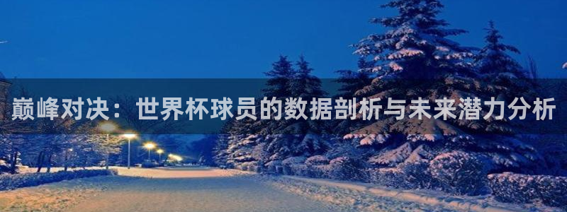 世界杯对阵表：巅峰对决：世界杯球员的数据剖析与未来潜力分析