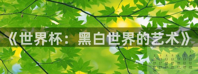 2026世界杯32强对阵图表：《世界杯：黑白世界的艺术》