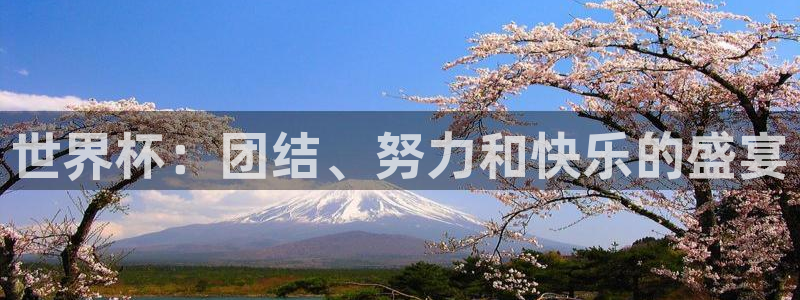 世界杯决赛预测：世界杯：团结、努力和快乐的盛宴