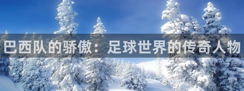 欧联杯直播：巴西队的骄傲：足球世界的传奇人物