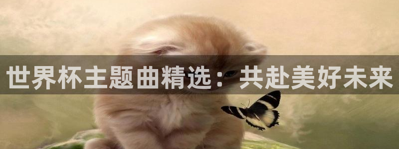 世界杯球队：世界杯主题曲精选：共赴美好未来