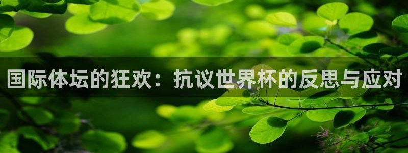 世界杯足球比赛：国际体坛的狂欢：抗议世界杯的反思与应对