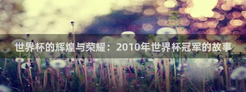 2026世界杯买球：世界杯的辉煌与荣耀：2010年世界杯冠军的故事