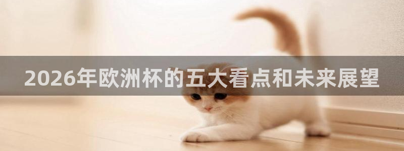 世界杯决赛直播：2026年欧洲杯的五大看点和未来展望