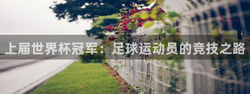 世界杯足球比赛：上届世界杯冠军：足球运动员的竞技之路