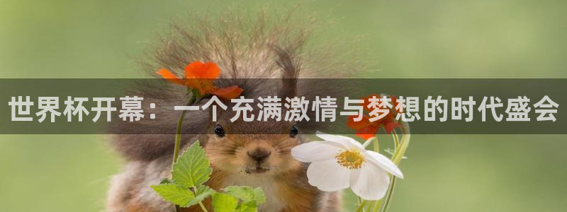 世界杯直播网站：世界杯开幕：一个充满激情与梦想的时代盛会
