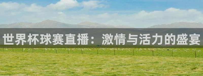 世界杯对阵表：世界杯球赛直播：激情与活力的盛宴
