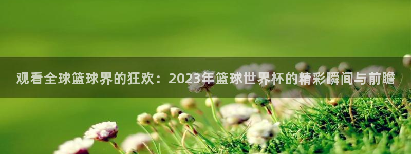 世界杯足球2026：观看全球篮球界的狂欢：2023年篮球世界杯的精彩瞬间与前瞻
